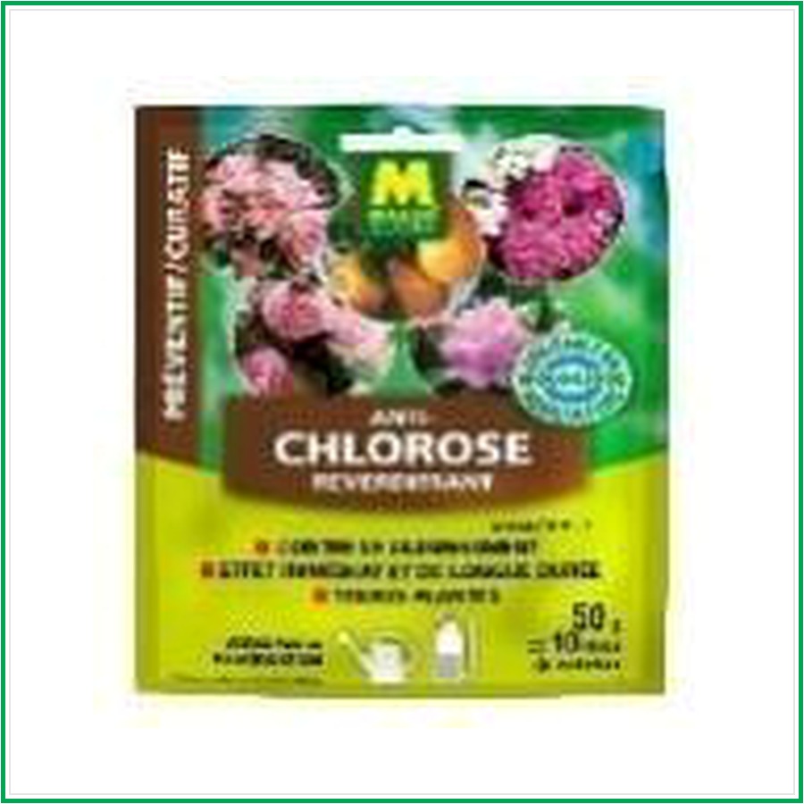 Anti-chlorose reverdissant Magma Massó Garden – Sachet 50 g