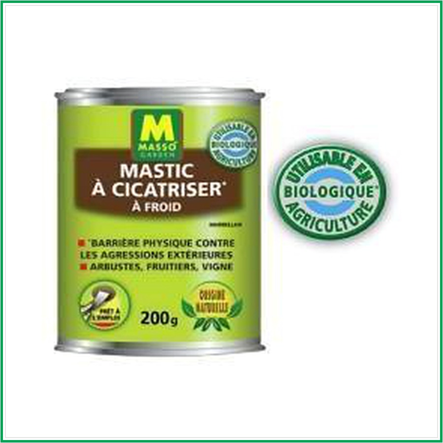 Mastic à cicatriser à froid Massó Garden – Boîte 200 g