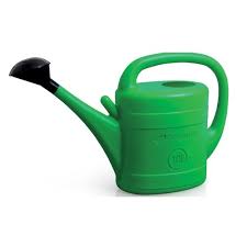 Arrosoire vert 10L